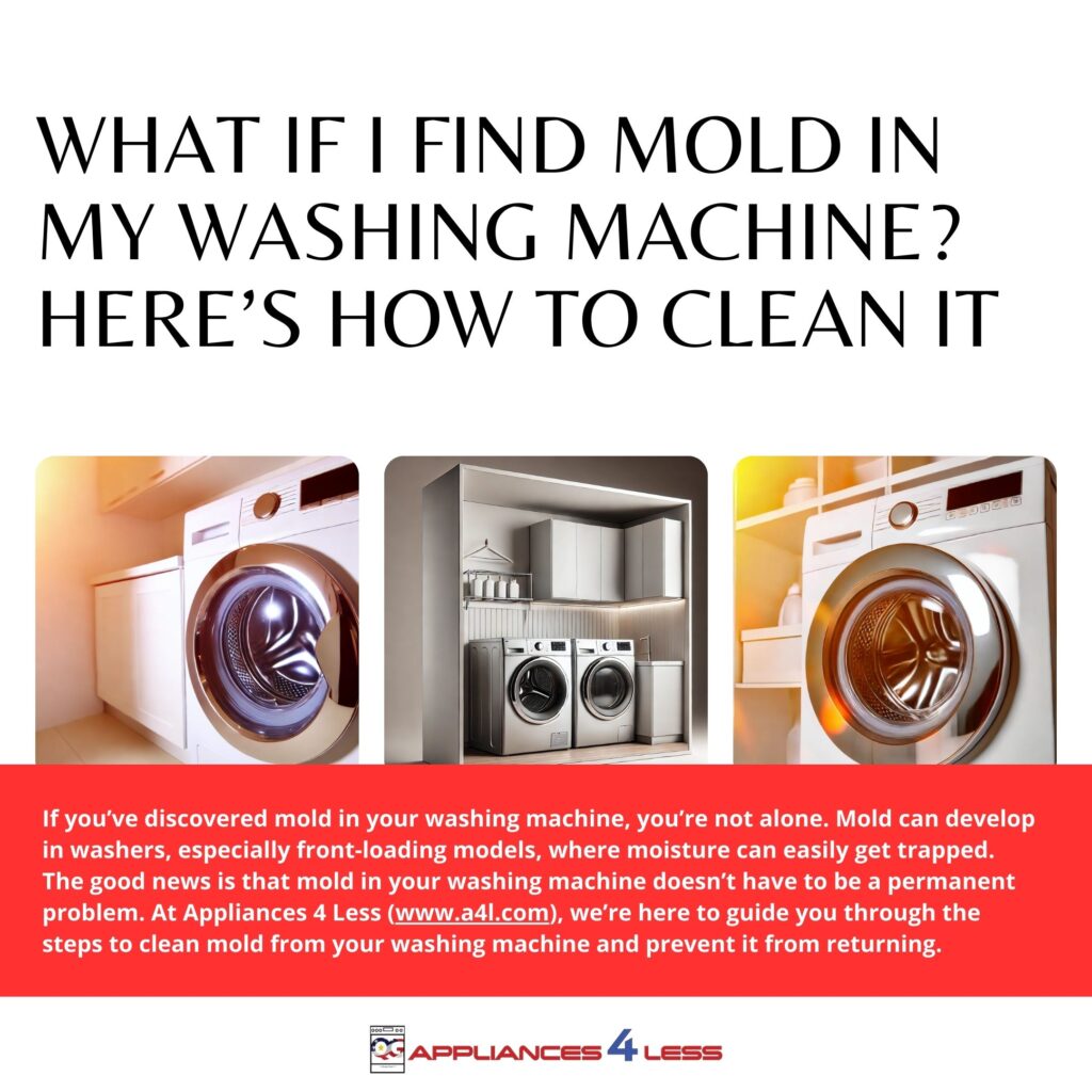 Mold in Washing Machine